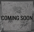 Coming Soon 1